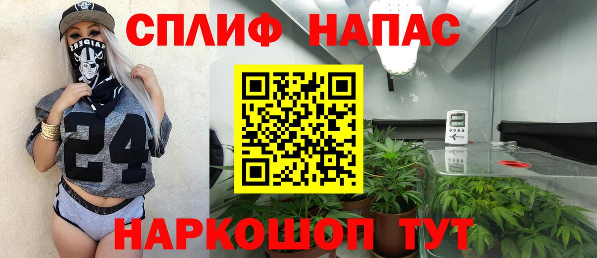 Каннабис OG Kush  Шишки марихуана планчик  Каннабис Bruce Banner  Киров  МАРИХУАНА семена  Вход с VPN 